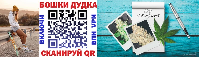 Купить закладки  Нижнеудинск  МАРИХУАНА сатива 